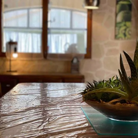 Maison 6 Personnes Avec Piscine Terrain Arbore Cloture 度假居 *