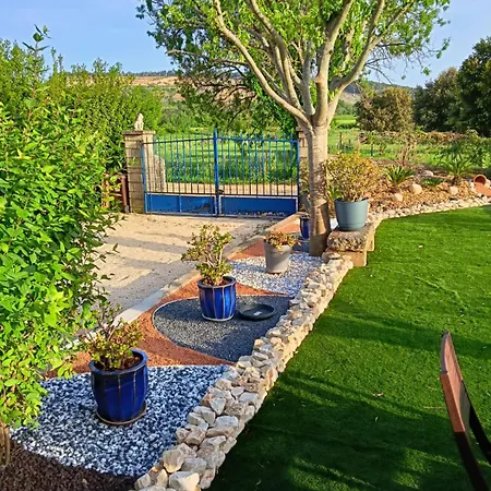Maison 6 Personnes Avec Piscine Terrain Arboré Clôturé Vallabrix
